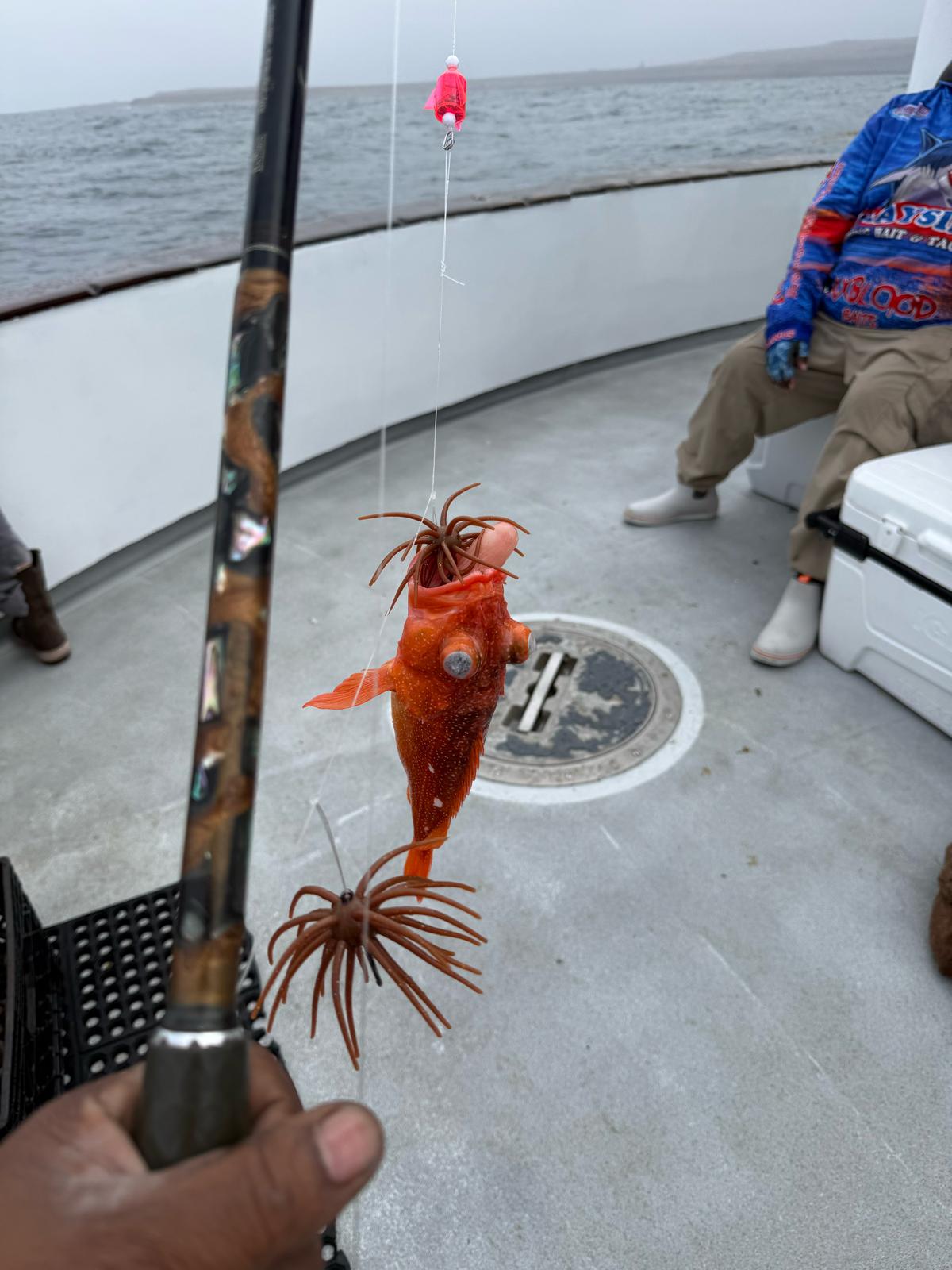 XXXBLOOD Creature Baits